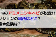 【へび】アパートから逃げ出した体長約３．５ｍの「アミメニシキヘビ」見つからず。雨で捜索打ち切り