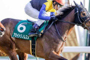 昨年の秋華賞馬アカイトリノムスメが引退 繁殖入りに国枝調教師「いい子を出してくれることを期待したい」