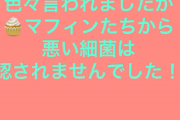【悲報】「例のマフィン屋」を自称するYouTubeチャンネル、販売再開のお知らせを掲載する。これマジな奴か…？