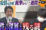 【唖然】八代英輝弁護士「（山上容疑者は）幼稚なまま育った」「マザコンではないか」「非常に自己中心的」←言い過ぎじゃね？?