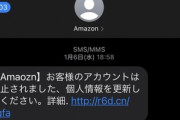 【悲報】ワイ間抜け、Amazonを装ったフィッシング詐欺サイトにメアドとパスワードを入力してしまう