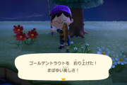 【あつまれ どうぶつの森】ゴールデントラウト釣れた人いる？
