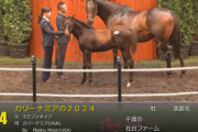 【セレクトセール2024】カリーナミアの2024（父エピファネイア）３億７０００万円で落札　他