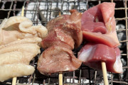 (´･ω･`)みんな～　庶民庭で焼き鳥するよ～