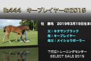 【競馬】セレクトに出されるキタサンブラック産駒評価してくれ！