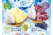 【画像】かき氷の「ソフトクリーム」の位置ってここでいいのか・・・？