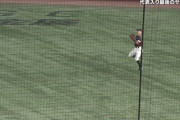 【悲報】日本代表の外野の送球