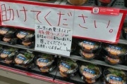【画像】コンビニ、発注ミスで店がとんこつラーメンだらけになるwwwwwww