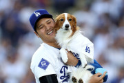 大谷翔平の愛犬デコピンが遊戯王カードになって全米騒然！←「激レアだな」（海外の反応）