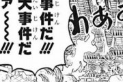 【画像】ワンピースさん、大事件が起きるｗｗｗｗｗｗｗ
