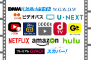 「Netflix！U-NEXT！Hulu！ディズニープラス！プライムビデオ！」←勿論全部入ってるよな？