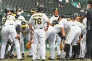 阪神２軍は今季最終戦を勝利で飾れるか　先発・西純は２回１／３で規定投球回到達
