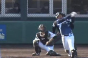 西武愛斗の豪快弾！若手の活躍で子猫勝利