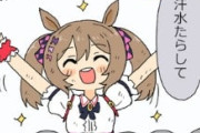 【ウマ娘】感情が先走って言い間違えるフラッシュさん、ウマドルに何と言う事をｗｗｗ