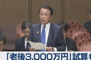 【悲報】自民党「老後に2000万円必要って言ったけどそんな事実なかったわｗ」　→　（画像あり）
