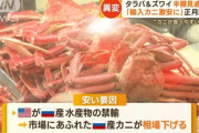 【朗報】ズワイガニ豊漁！輸入モノなら昨年の半額くらいになる見通し