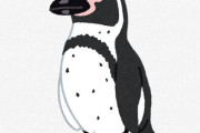 ペンギンって可愛いのになんでペットにされてないの？