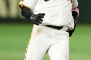 巨人・丸  打率.237  HR0  打点2  OPS.530