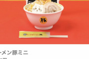 【悲報】人気キャラコラボの麺料理、1500円もする