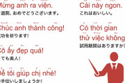 韓国人「ベトナム語は支配者であるフランス人によって強制的に作られた “植民地文字” です！」