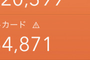 ワイ手取り16万ちょい、クレカが手取りを超えそうで泣く��