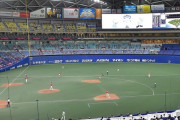 中日、バンテリンドームにホームランテラスは必要なのか　26年から設置予定…　阪神は甲子園のラッキーゾーン復活に反対姿勢