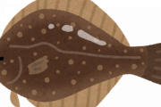 【画像】そろそろヒラメの良い時期になるな