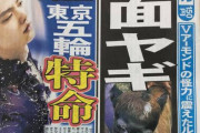 あまりにも美しくて買ってしまったやつといえばこれ！  …「羽生が無駄にイケメン美人なんだよなあ」…