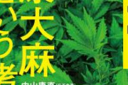 【速報】医療用大麻、解禁へ