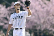 【画像】桜バックでキャッチボールをするダルビッシュ、美しすぎる