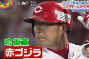 嶋重宣(28) 打率.337 HR32 打点84 OPS.949←これ