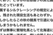●アーモンドアイさん、天秋で無事引退する模様?