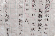 【悲報画像】Z世代の小学生が書いた日記、もうめちゃくちゃｗｗｗｗｗｗｗｗｗｗｗｗ