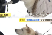 旭川、今季1番の冷え込みに　犬も防寒しインタビューに応じる