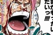 ワンピースの海軍大佐「コビー」好きな奴っているの？