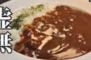 カレーをご飯無しで食べたワイ「美味いけど＊＊＊みたい」←これ??