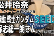 松井玲奈がガンダムSEEDを語ってる?