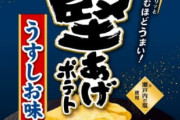 久しぶりに堅あげポテトを食べた感想ｗｗｗｗｗｗ