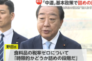 中道改革連合､食料品の消費税を恒久的ゼロの方針