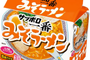 サッポロ一番みそラーメン5袋入りが500円ぐらいになってて泣いた………