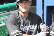 【朗報】日ハム小笠原コーチ、台湾の至宝・王柏融を復活させてしまう