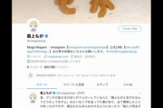 【タレント】最上もが、執拗なアンチにツイッターのフォロー外す  [爆笑ゴリラ★]