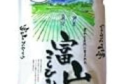 日生米穀 富山県産コシヒカリ 5kgが値下げ特価！！