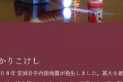 【単発】こけし業界「地震に役立つ商品……せや！✨」
