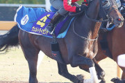 【日本ダービー3着】ヴェルトライゼンデ骨折　全治3ヶ月