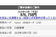 今月のクレジットカードの支払い100万円越えててワロタwwwwwww