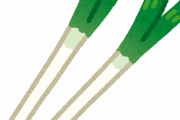 【画像】白ネギのみじん切りライフハック教えるで