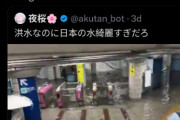 海外「なぜ日本の洪水はキレイな水なんだ？」