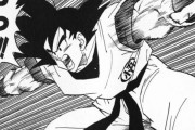 ドラゴンボールの戦闘シーン、再評価される　これより戦闘描写上手い漫画あるの？
