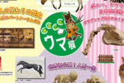 まるごとウマ展―ウマと人のキズナ―